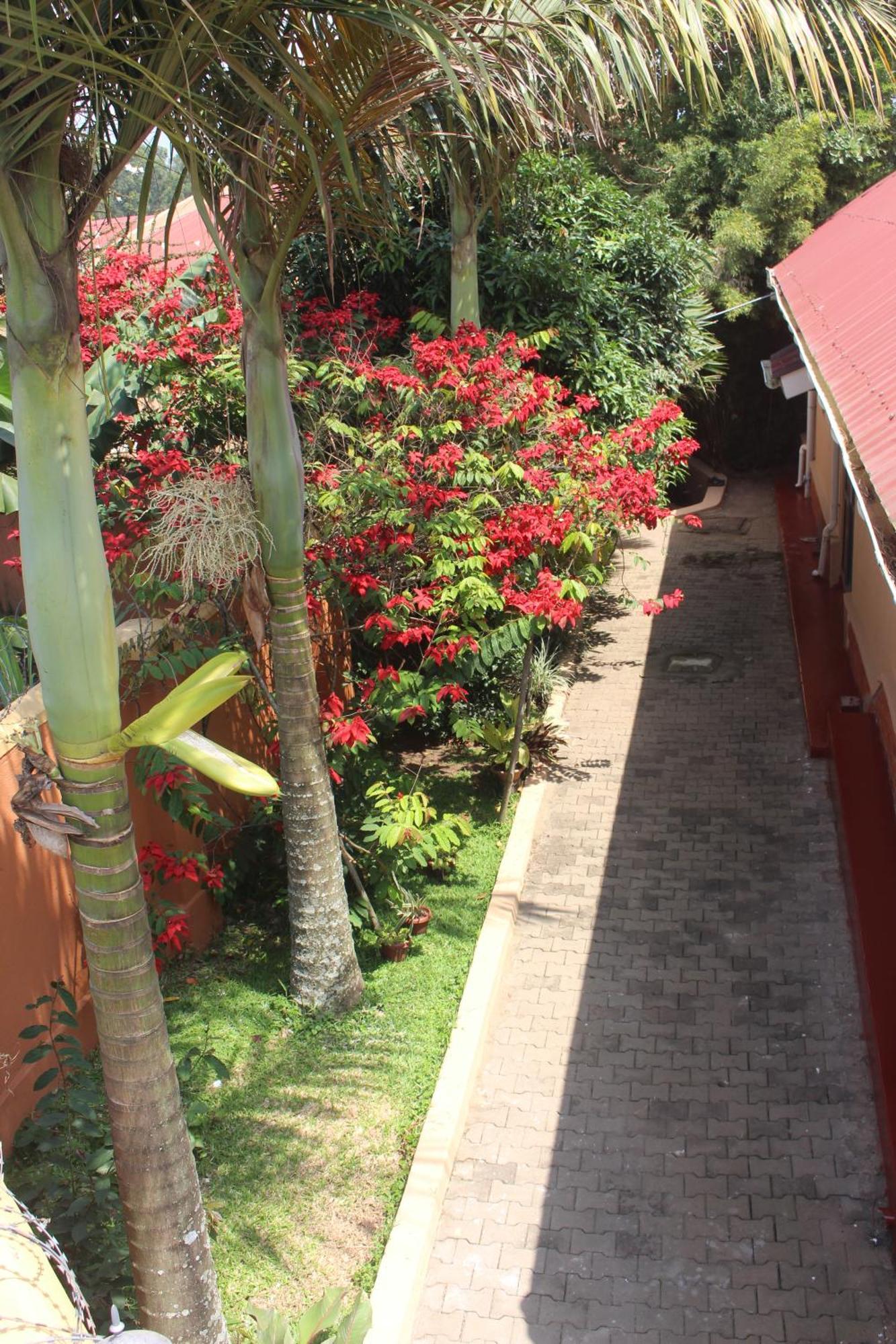 Montane Safaris Hotel Fort Portal Luaran gambar